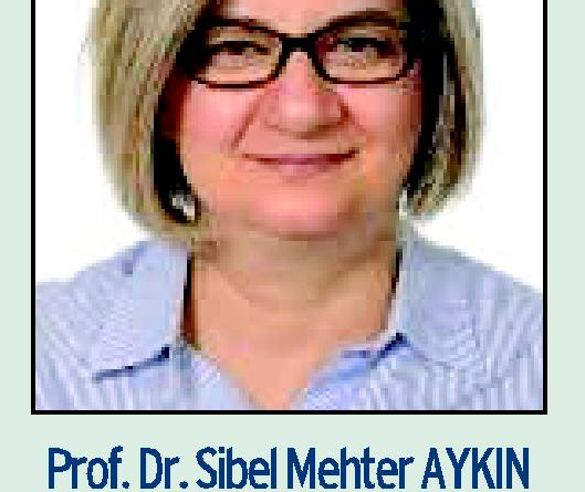 Prof. Dr. Sibel Mehter AYKIN,  “Avrupa Akıllı Turizm Başkentleri: Helsinki Örneği”